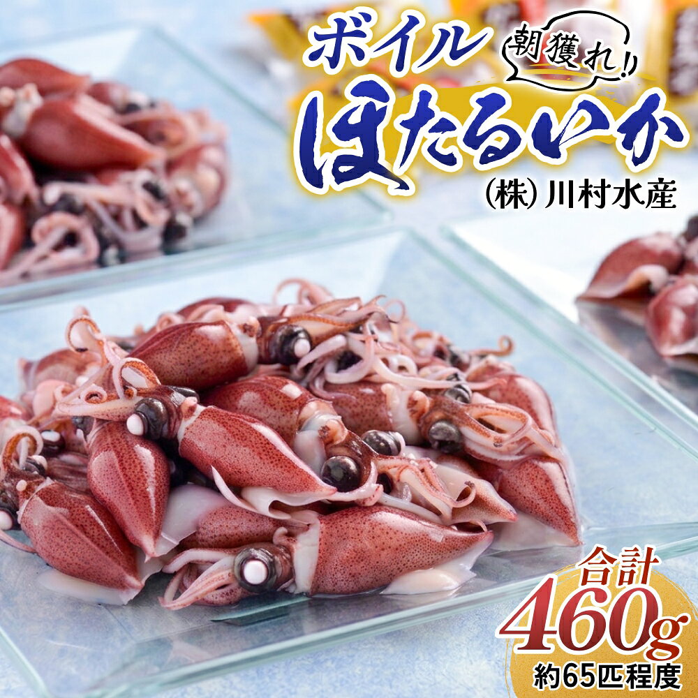 【ふるさと納税】【先行予約】ボイルほたるいか 【川村水産】【ほたるいか漁解禁】※27年3月中旬以降～ 順次発送【能登半島地震復興支援】 / 冷蔵 茹で ボイル ホタルイカ 朝どれ 朝獲れ おつまみ 珍味 海鮮 旬 期間限定 ギフト 送料無料 国産