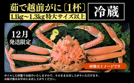 【先行予約】【12月発送限定】茹で越前がに  1杯 1.1kg～1.3kg《新鮮！茹でたてを発送》／ 高級 福井 ブランド ズワイガニ 黄色タグ ボイル 冷蔵 蟹 カニ 期間限定【年内発送 12月23