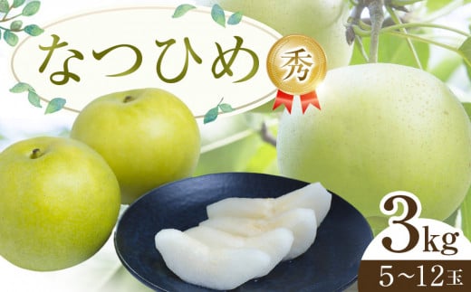 
            300.【先行予約】なつひめ ※2026年8月中旬～9月上旬頃に順次発送予定【先行予約 梨 なし 果物 フルーツ くだもの 鳥取県 北栄町 おすすめ 人気 送料無料】
          