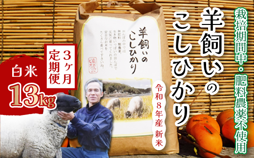 コシヒカリ【3か月定期便】《肥料・農薬：栽培期間中不使用》瀬戸内三原 羊飼いのこしひかり 白米 13kg×3回 瀬戸内ビオファーム お米 こめ ご飯 002033