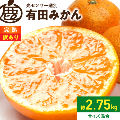 《2026年11月上旬～2027年1月下旬頃に順次発送》【2026年先行予約】家庭用 完熟有田みかん約2.5kg+250g（傷み補償分）【わけあり・訳あり】【光センサー選果】_ZH7127