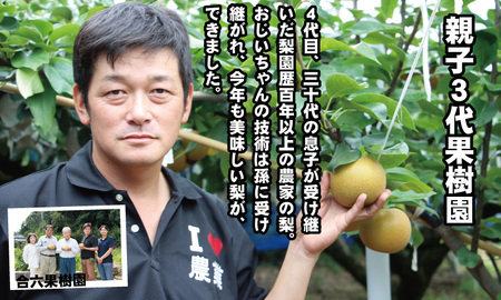 【先行予約】あきづき「秋月」 梨 5kg 親子三世代 農家 合六果樹園 梨 果物 フルーツ B140-017 