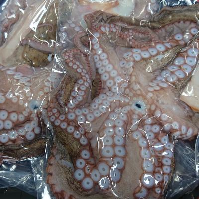 ふるさと納税 豊後高田市 船上活締め!!生真ダコ丸ごと(1〜4匹)【下処理済】 |  | 01