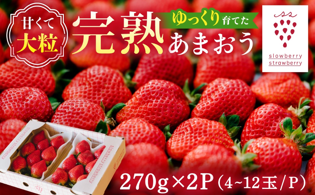 【先行受付】完熟あまおう 270g × 2パック【2027年1月以降順次発送】 糸島市 / slowberry strawberry [APJ002] 苺 あまおう イチゴ