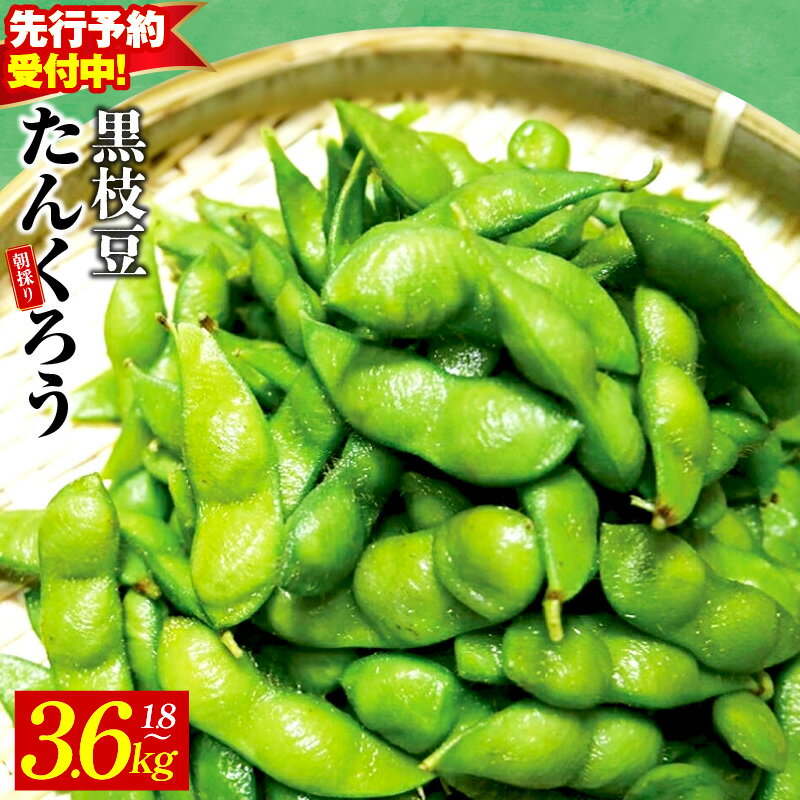 【ふるさと納税】【先行予約】 畑から直送・朝採り黒枝豆 1.8 / 3.6kg 畑から 直送 朝採り こだわり 枝豆 芳香 甘味 おつまみ 泉州TONOファーム 関西 大阪府 泉佐野市 お取り寄せ お取り寄せグルメ おうち居酒屋 冷蔵 食品 食べ物 送料無料