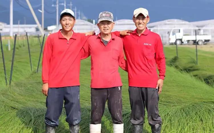 い草 畳 マット 畑野さんの匠シリーズ寝ござリング ホワイト