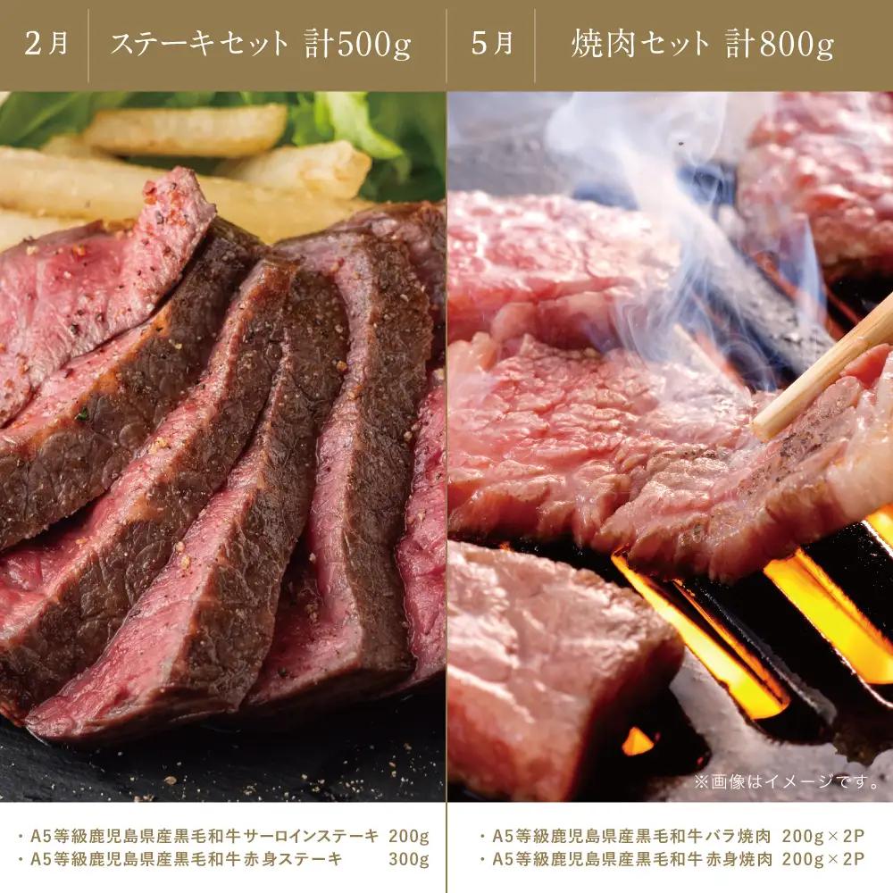 【特撰定期便 全4回】A5等級鹿児島黒毛和牛定期便 A5 A5等級 ステーキ サーロイン 赤身 ヒレ バラ 焼肉 BBQ ブロック肉 ロース肉 すき焼き しゃぶしゃぶ お肉 鹿児島県産 カミチク 黒毛