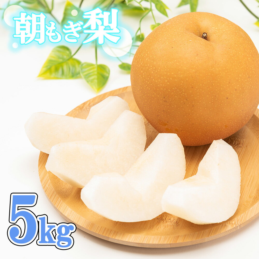 【ふるさと納税】R9先行予約 幸水・豊水・あきづき 約5kg 100年の歴史！！アライファームの「朝もぎ梨」