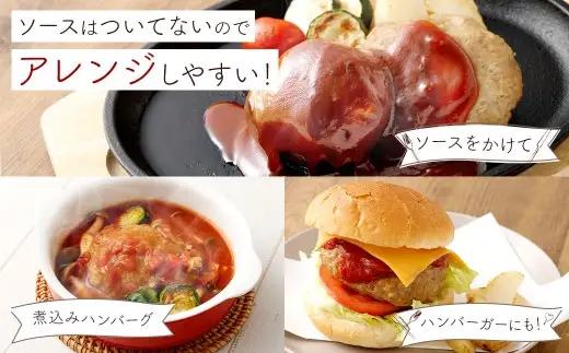 【定期便12回】豆腐ハンバーグセット 100g×15個入 豆腐ハンバーグ 冷凍 レンジ・湯煎で簡単 小分け 19,8000円 国産｜熊本県あさぎり町