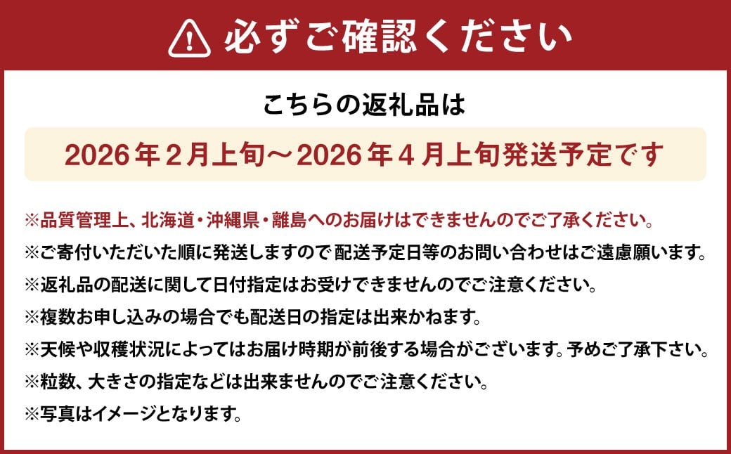 化粧箱入りプレミアムあまおう 約400g×1パック【ギフト・お祝い・贈答用】