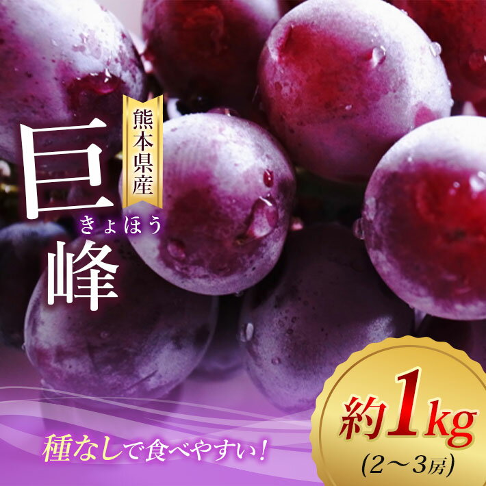【ふるさと納税】巨峰 約 1kg（2〜3房） フルーツ 果物 ぶどう 葡萄 新鮮 農家直送 リテイファーム 種無し 産地直送 生産者直送 玉名 熊本 送料無料