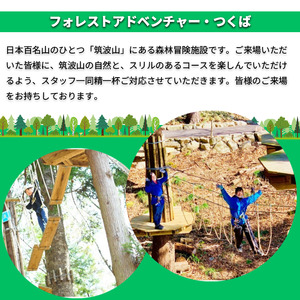 フォレストアドベンチャー・つくば＜キャノピーコース＞4名様体験チケット【1412105】
