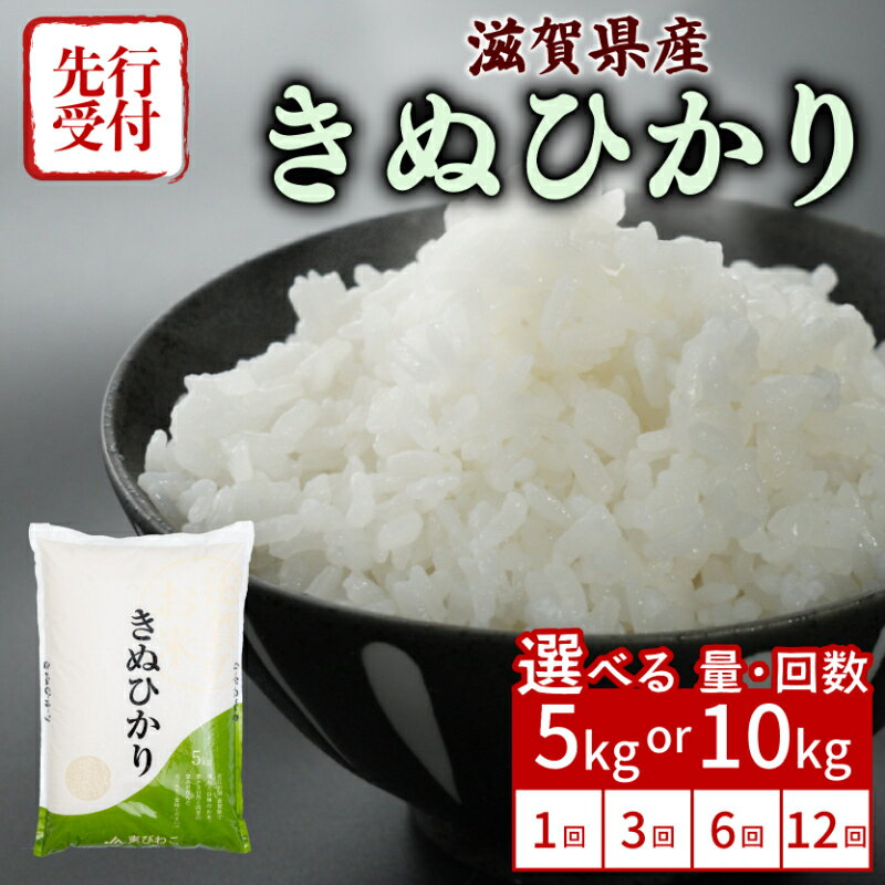 【ふるさと納税】 【令和7年産先行受付】 新米 きぬひかり 5kg 10kg 単品 定期便 令和7年産 米 精米 こめ コメ お米 ご飯 先行受付 5キロ 10キロ 令和7年 3回定期便 6回定期便 12回定期便 3ヶ月定期便 6ヶ月定期便 12ヶ月定期便 ふるさと納税米 ふるさと納税新米 滋賀 彦根