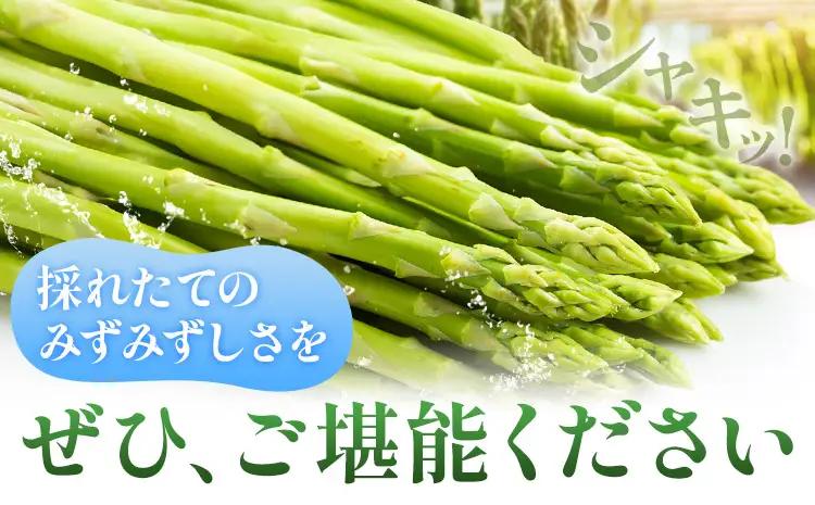 【秀品】アスパラガス  2L サイズ 800g (400g×2) アスパラ 北海道