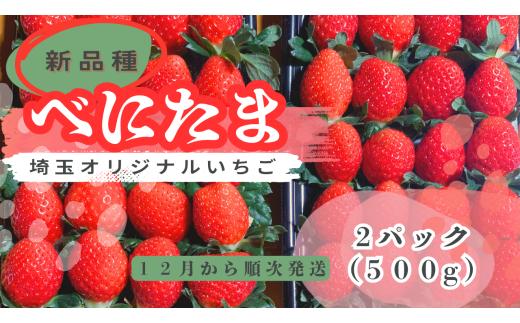 ※先行受付【新品種】埼玉オリジナルいちご　べにたま　新品種べにたま　2パック（500g）どらちゃん農園