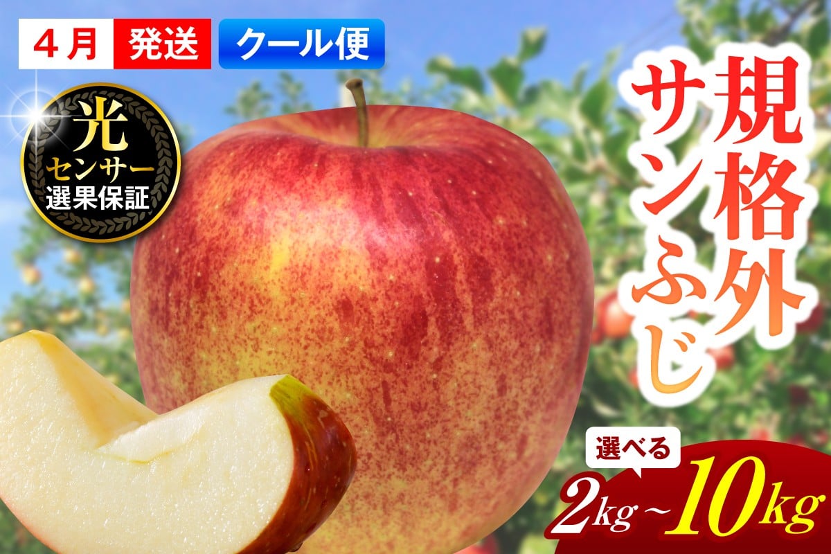 
                  【選べる内容量】【規格外】 りんご サンふじ スマートフレッシュ™貯蔵 または CA貯蔵 | 2kg 5kg 10kg 【クール便】 青森県産
                