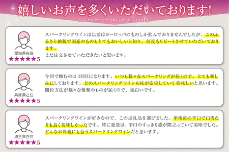 勝沼ぶどうの丘推奨スパークリングワイン辛口2本セット B2-604【甲州 ワイン お酒 スパークリングワイン 甲州ワイン 日本ワイン お酒 人気 スパークリングワイン 推奨 おまかせ フルボトル ワイ