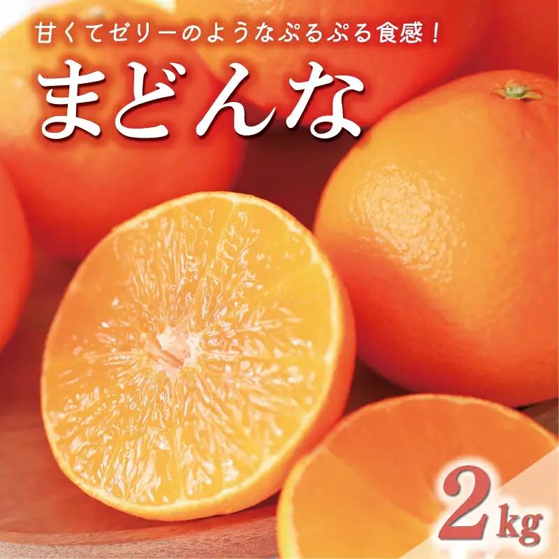 数量限定 先行予約 訳あり まどんな 2kg 8000円 愛果28号 岡平農園 愛南町 愛媛県