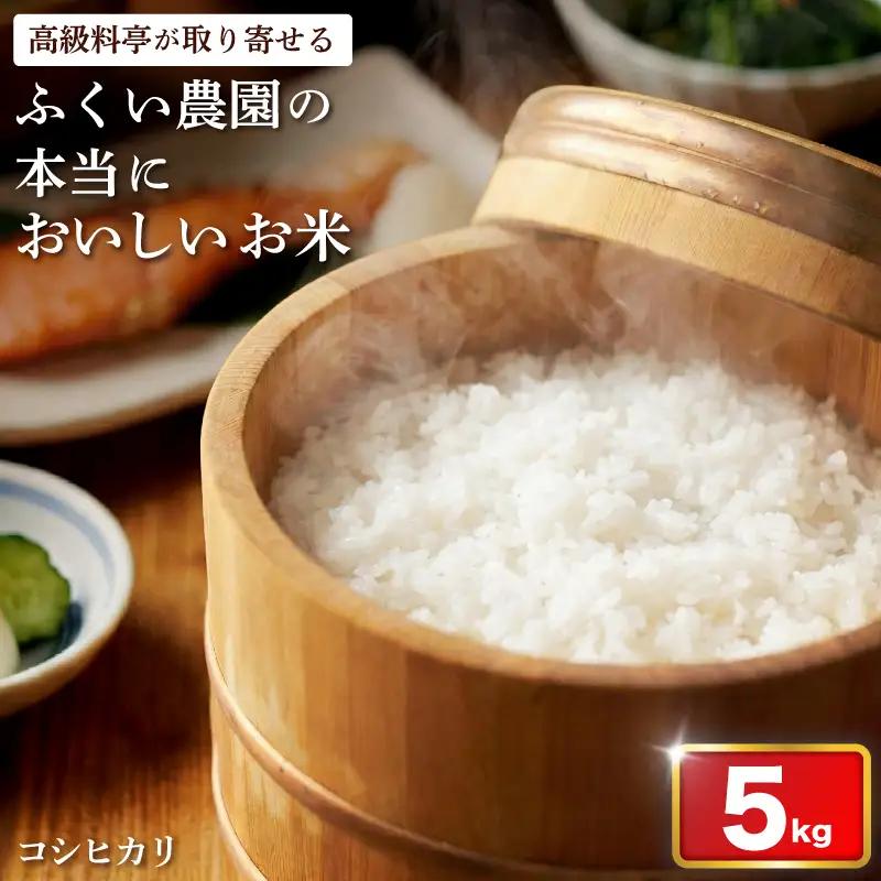 令和8年産 米 コシヒカリ 5kg 白米 精米 コシヒカリ