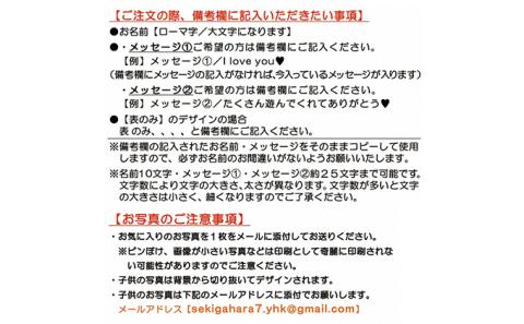 うちの子写真入りキーホルダー♪名前＆メッセージが入る！（デザインB）【C】ブルー