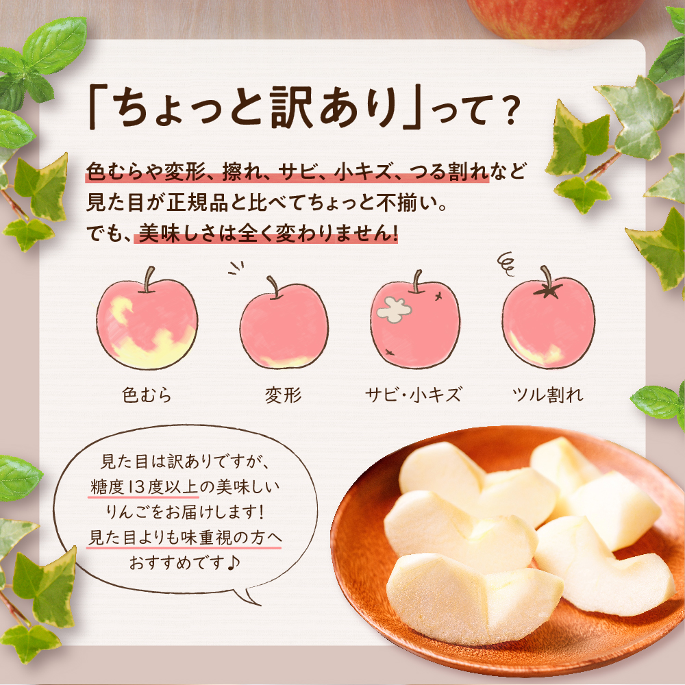 【2026年12月後半発送】りんご 約3kg サンふじ 【ちょっと訳あり】 青森県産
