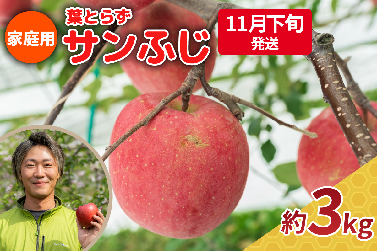 【2025年11月下旬発送】りんご 3kg 程度 葉とらず サンふじ 11月 12月 家庭用 青森産 りんご ふじ 【 サンふじりんご 葉とらずりんご くだものフルーツ果物林檎約3kg 】