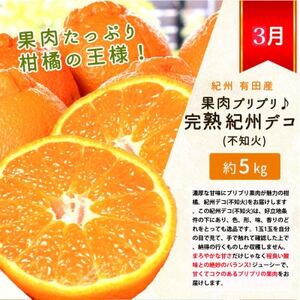 【発送月固定定期便】紀州和歌山産旬のフルーツセット(田村みかん・まりひめ・紀州デコ)全3回【配送不可地域：離島・北海道・沖縄県】【4052590】