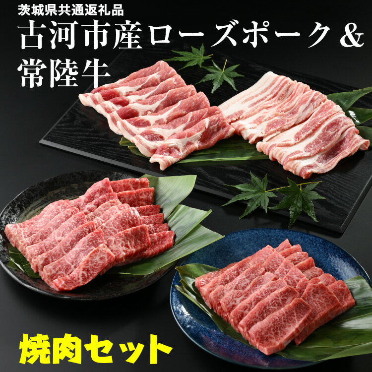【ふるさと納税】古河市産ローズポーク＆常陸牛『焼肉セット』〈茨城県共通返礼品〉| 肉 牛肉 豚肉 国産 ブランド 冷凍 BBQ 焼肉 小分け 牛バラ 豚バラ カルビ ロース 牛モモロース 肩ロース 食べ比べ バラ 詰め合わせ ギフト 贈答 贈り物 お中元 お歳暮 プレゼント _AD10
