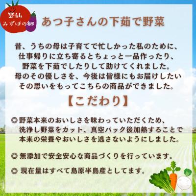 ふるさと納税 雲仙市 【雲仙みずほの郷】あつ子さんの5品目セット下茹で野菜 |  | 02
