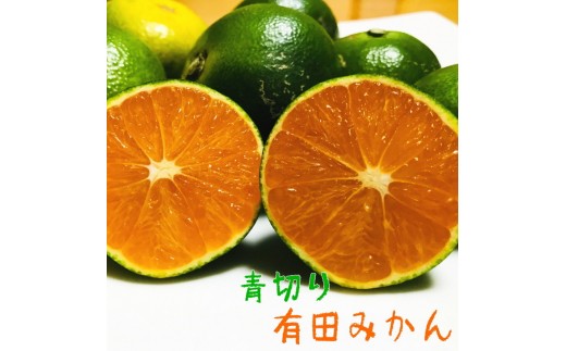 【先行予約】【2026年9月発送】ご家庭用青切り有田みかん　約7.5kg+200g(傷み補償分) ※2026年9月中旬～10月上旬頃に順次発送予定  ※北海道・沖縄・離島配送不可 / みかん ミカン 果物 フルーツ 柑橘 和歌山 有田みかん 青切 極早生 早生みかん【ard146B】