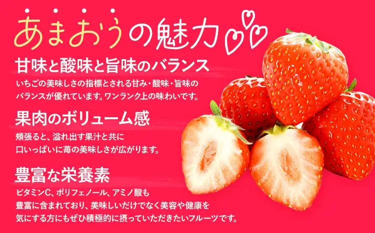あまおう 1000g いちご 先行予約
