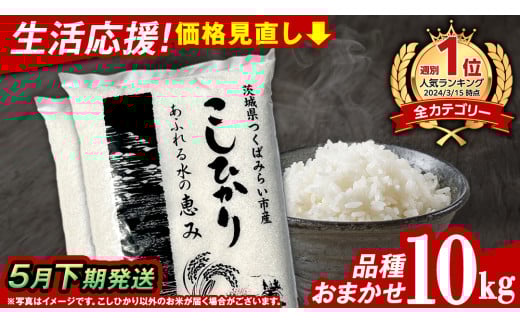 【 5月下期発送 / 数量限定 】茨城県産 精米 10kg (品種おまかせ） 令和6年産 こしひかり 米 コメ こめ 単一米 限定 茨城県産 国産 美味しい お米 おこめ おコメ
