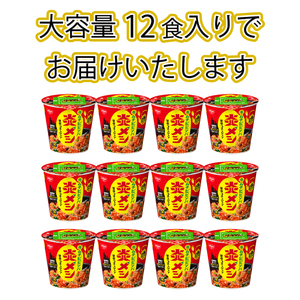 【日清炎メシキムチビビンバ】12食 日清食品 インスタント 即席 JC
