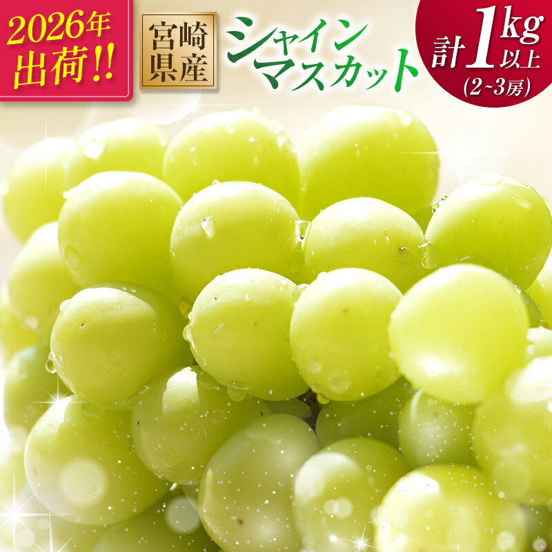 【ふるさと納税】＜2026年出荷＞先行予約 シャインマスカット 2～3房 計1kg以上 国産 期間限定 くだもの