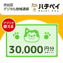 【ふるさと納税】渋谷区デジタル地域通貨「ハチペイ」30,000円分 100000円 10万円 十万円