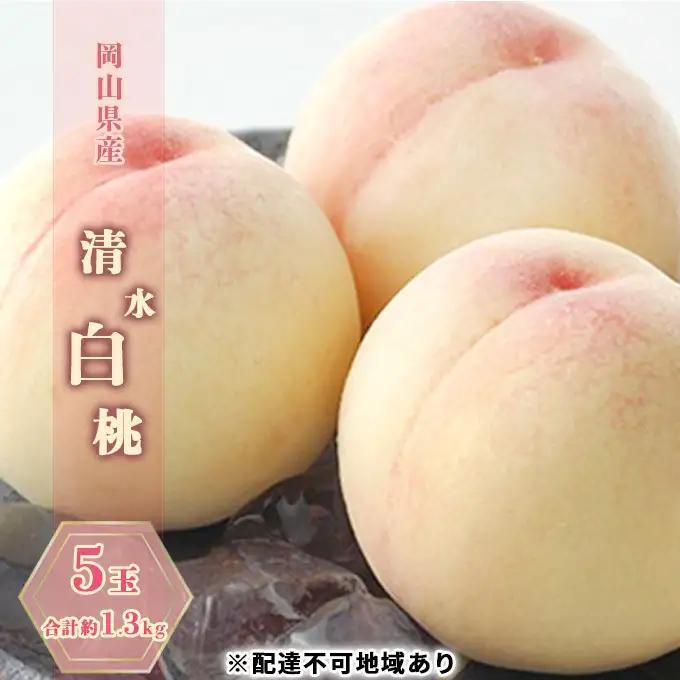 桃 2026年 先行予約 清水白桃 5玉 合計約1.3kg  岡山県産 桃