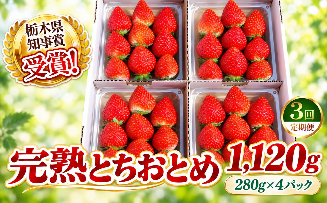 【定期便3回】栃木のいちご！元祖 「とちおとめ」 1,120g (280g×4P)| 澳原いちご農園 栃木県 矢板市 【定期便3回】とちおとめ4P｜30000円