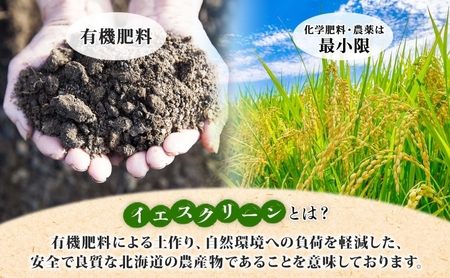 北海道 イエスクリーン米 令和6年産 ななつぼし 5kg 精米 米 白米 お米 新米 ごはん ご飯 ライス 道産米 ブランド米 新しのつ米 ふっくら 食味ランキング  産地直送 カワサキ森田屋 送料無