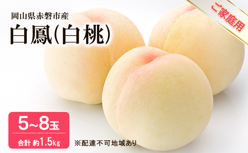 桃 2025年 先行予約 白桃 白鳳 約1.5kg 5～8玉 ご家庭用 フルーツ 果物 岡山 赤磐市産