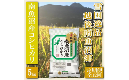
            【令和7年産】【定期便 精米５Kg×全12回】雪国逸品 越後南魚沼郷 南魚沼産コシヒカリ【2025年10月上旬より順次発送予定】
          