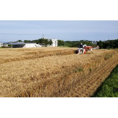 ふるさと納税 武豊町 小麦粉セット |  | 01