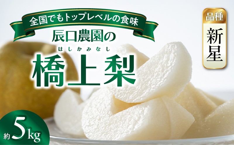
                  【先行予約】令和8年発送 /辰口農園の橋上梨約5kg（品種:新星）_1019R
                