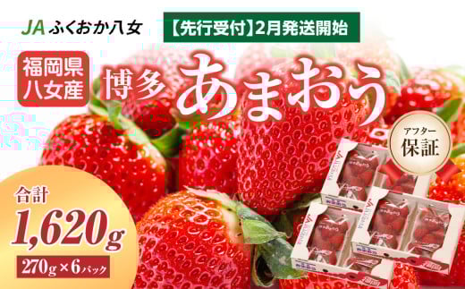 【2026年2月発送開始】博多あまおうＧ約270g×6パック｜ＪＡふくおか八女 あまおう いちご 苺 イチゴ フルーツ 果物 くだもの 人気  旬 福岡県産 大粒 アフター補償 数量限定 期間限定 産地直送 グランデ 福岡県 八女市
