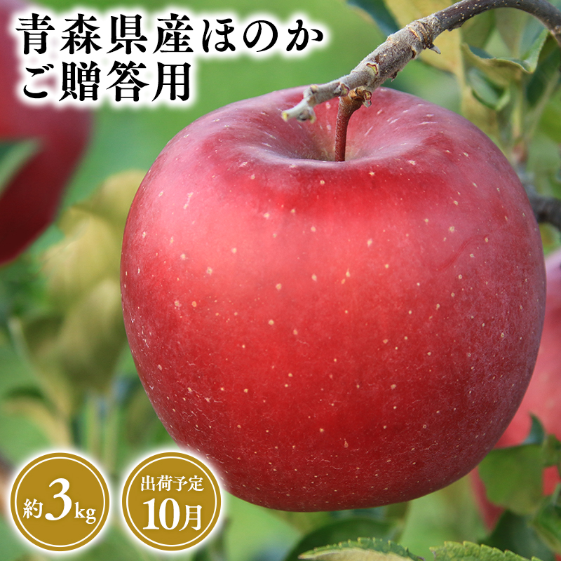 2025年産9月発送　贈答用ほのか3ｋｇ　【そと川りんご園・9月・青森県産・平川市・りんご・ほのか・3ｋｇ・贈答用】
