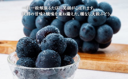 岡山県井原市美星町産 ニューピオーネ 2kg箱（3～5房入り） ご家庭用