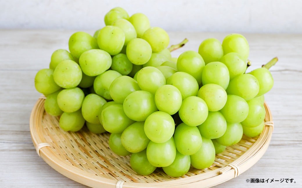 シャインマスカット 約2.0kg以上（2～5房） 【2026年10月下旬-11月下旬発送予定】 シャイン マスカット ぶどう 葡萄 ブドウ 果物 くだもの フルーツ ギフト お取り寄せ 国産