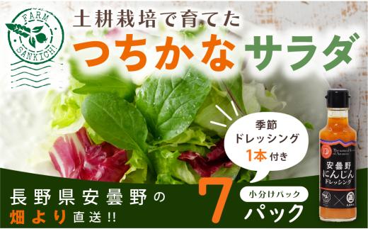 サラダミックスとドレシングのセット （大） 【数量限定！】