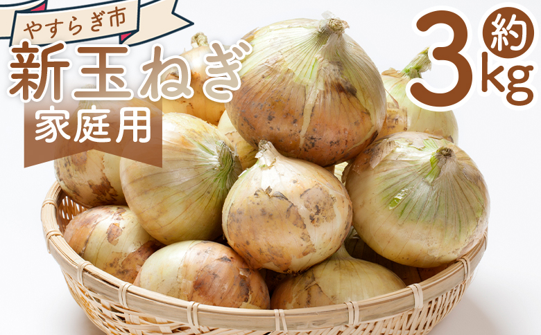 【先行予約】 新玉ねぎ ３ｋｇ 家庭用 yr-0121