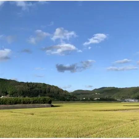 【2027年度先行受付】【令和8年産】精米　きぬむすめ2kg＆いちご詰合せ(約280g×2パック)【配送不可地域：離島・北海道・沖縄県】【1676468】