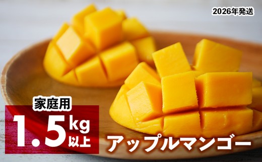 2026年発送　アップルマンゴー（家庭用）1.5kg以上【羽地の駅】 2026年 果物 沖縄 特産品 旬 マンゴー 家庭用 フルーツ 先行予約 夏 お取り寄せ 甘い おすすめ デザート おいしい 数量限定 期間限定 人気 令和8年 厳選